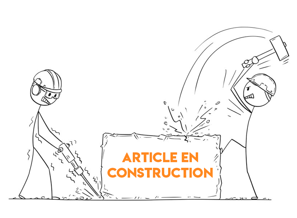 article-en-construction